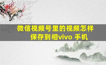 微信视频号里的视频怎样保存到相vivo 手机